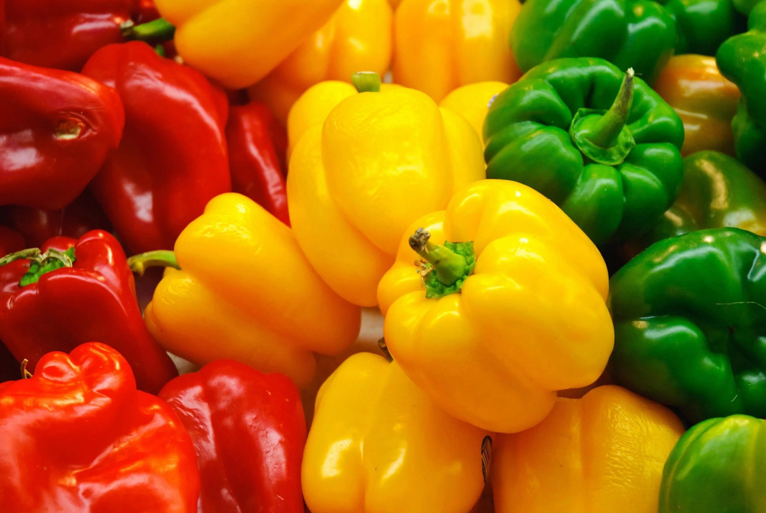 Sladká paprika pro skleníky v moskevské oblasti: přehled nejlepších odrůd