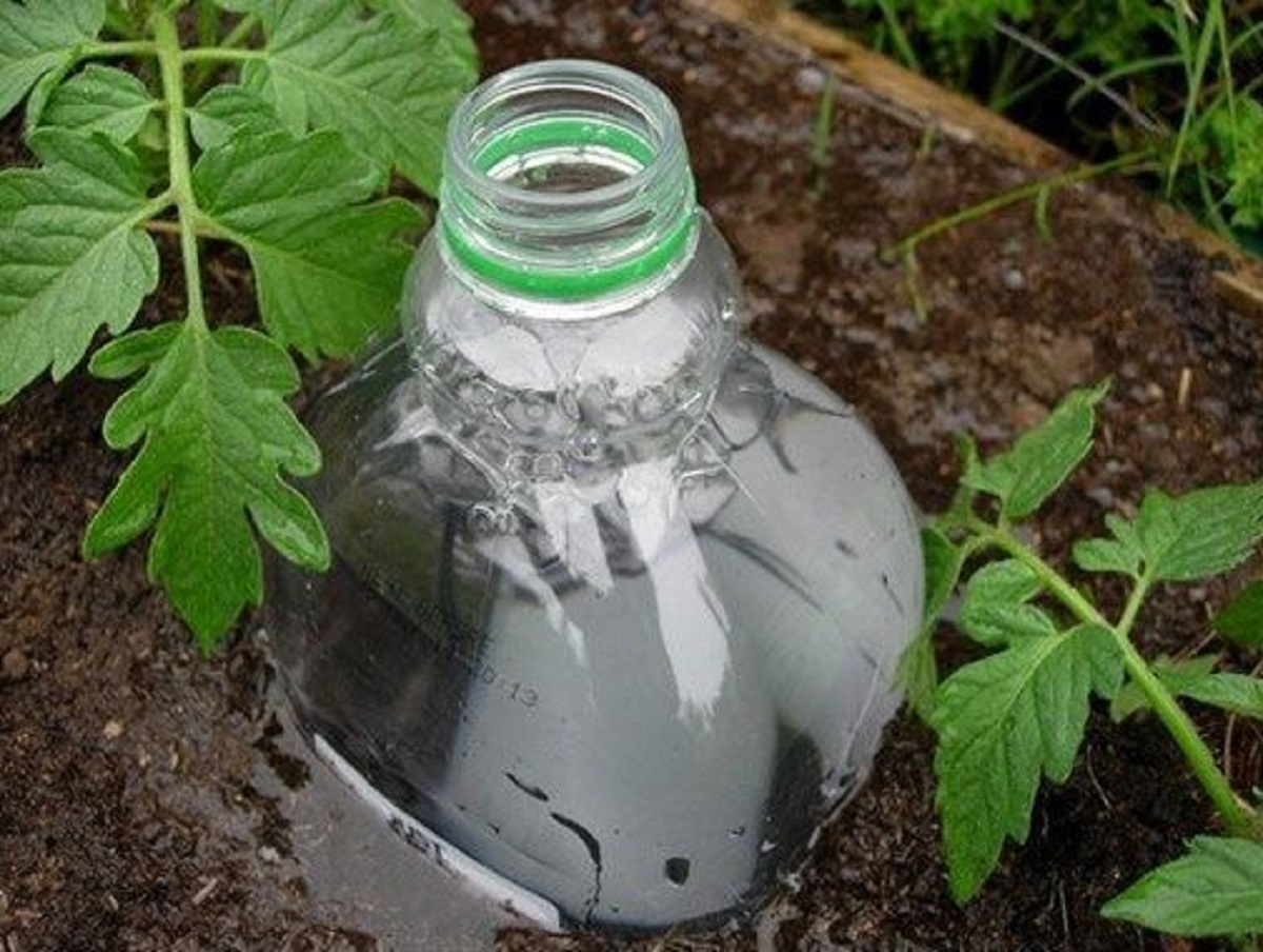 Пластиковые бутылки для полива