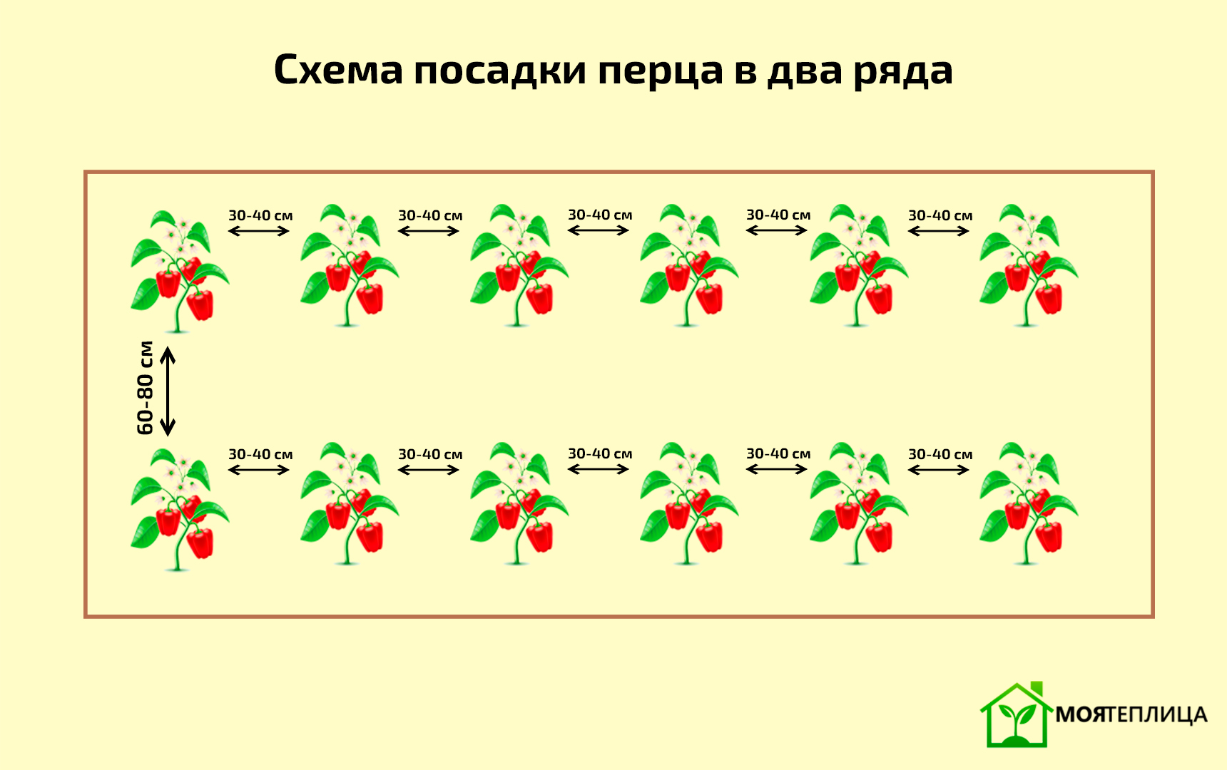 Перец посадка в грунт на каком расстоянии. Схема высадки перца в теплице.