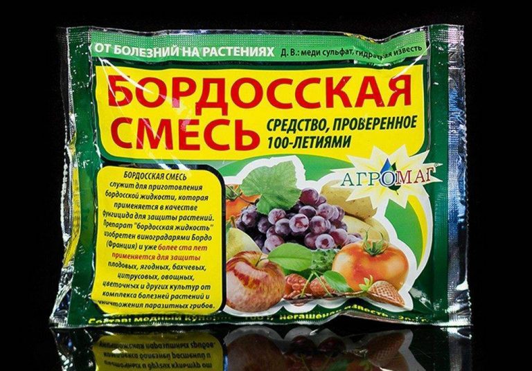 Обработка теплицы весной от болезней и вредителей