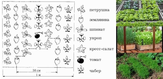 АПК справочник Киевская область Киево-Святошинский район