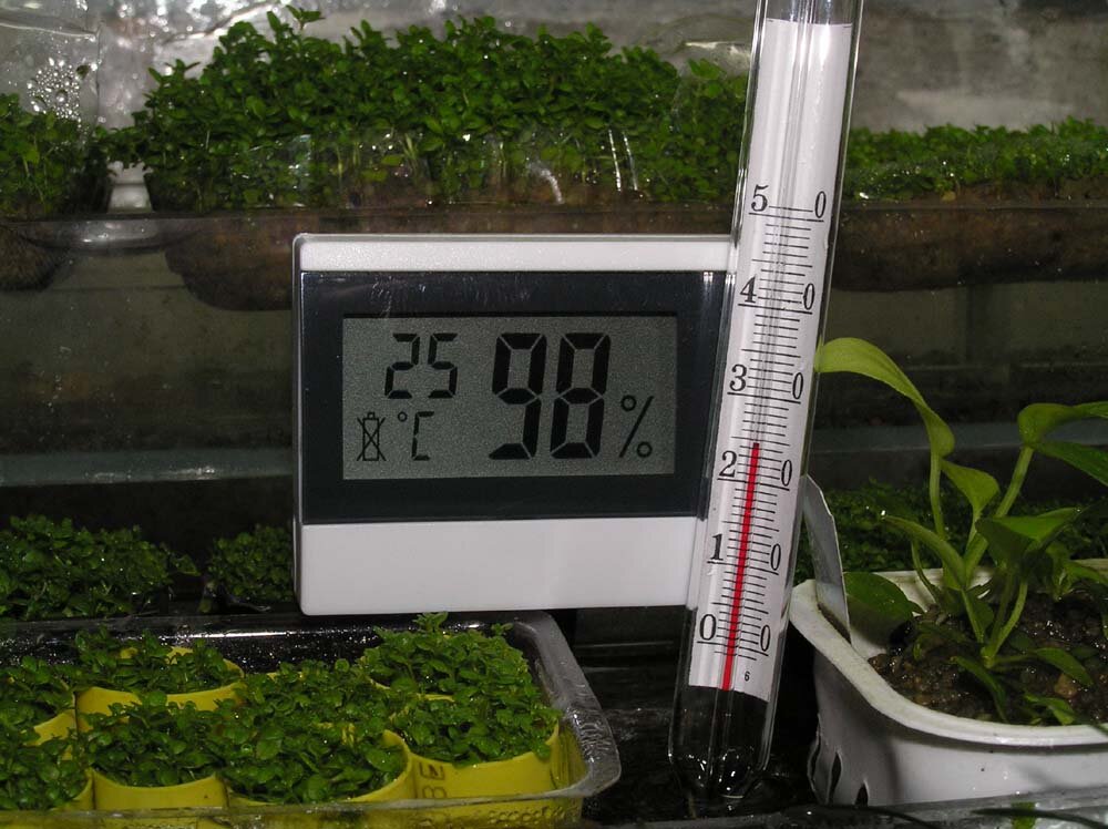 Какая температура нужна для выращивания